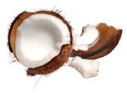 kokosnoot1